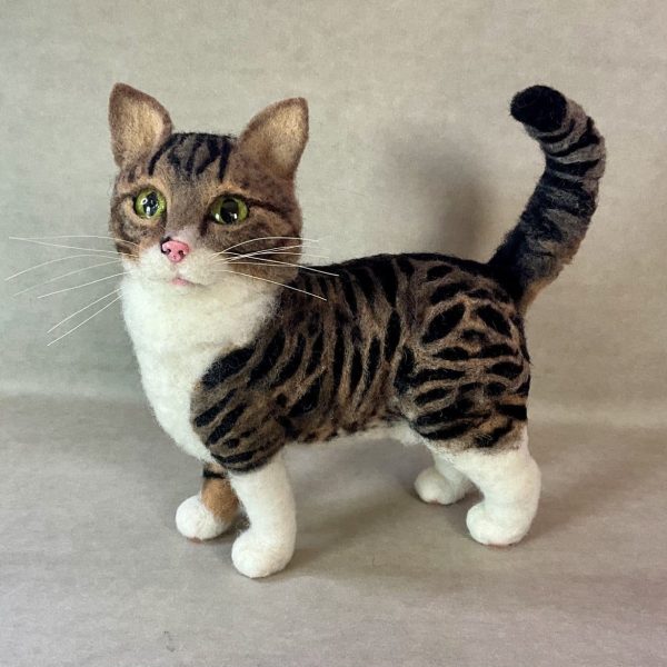Gatto 600x600