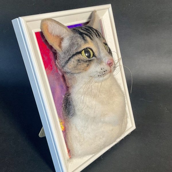 Gatto Con Cornice 600x600