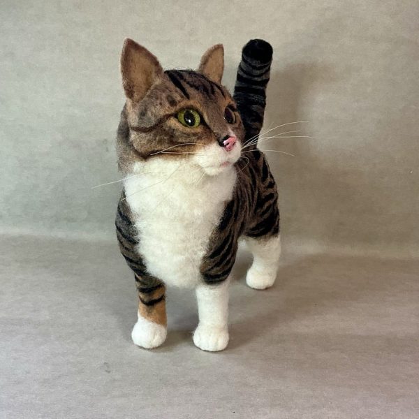 Gatto Fronte 600x600